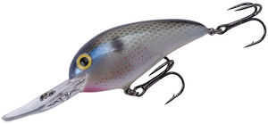 True Gizzard True Gizzard