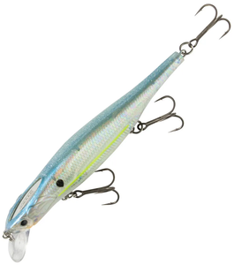 GP Sexy Shad Top GP Sexy Shad Top