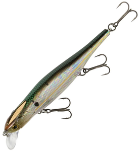 Copper Shad Copper Shad