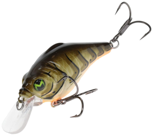 Green Crawdaddy Green Crawdaddy