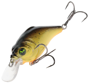 Chartreuse Black Splatter Chartreuse Black Splatter