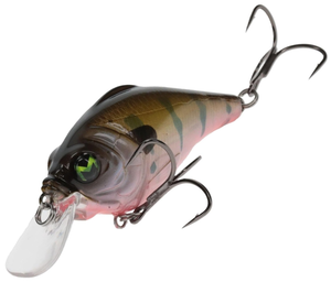 Ghost Gill Ghost Gill