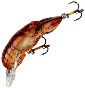 Cajun Crawdad Cajun Crawdad