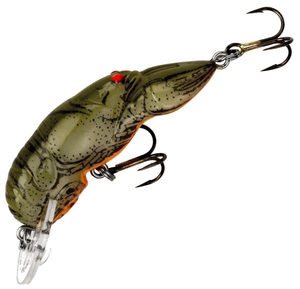 Stream Crawfish Stream Crawfish