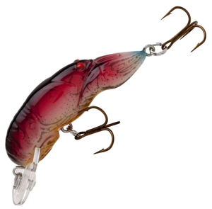 Nest Robber Nest Robber