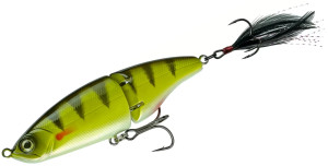 Yellow Perch Yellow Perch