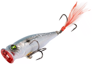 Sexy Shad 2.0