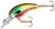 Chrome Pumpkinseed