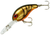 Bandit 300 Series: Fall Brown Craw