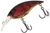Ghost Red Craw