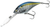 Streak Shad