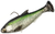Chartreuse Shad