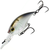 4K Shad