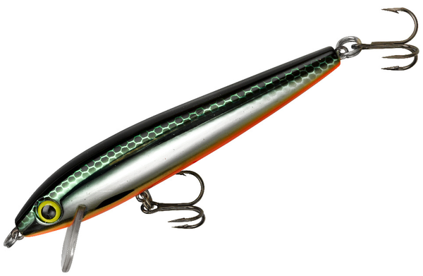 Emerald Minnow