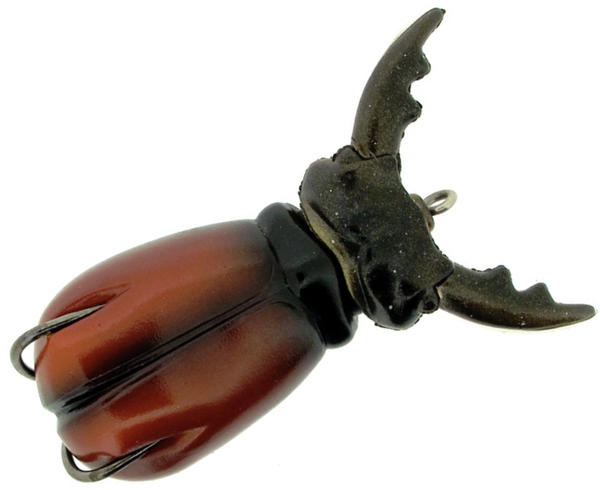 Stag Beetle