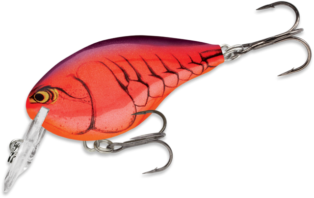 dt4 rapala crankbait