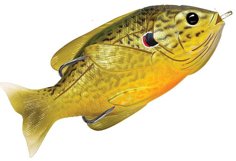 Green Bronze Pumpkinseed