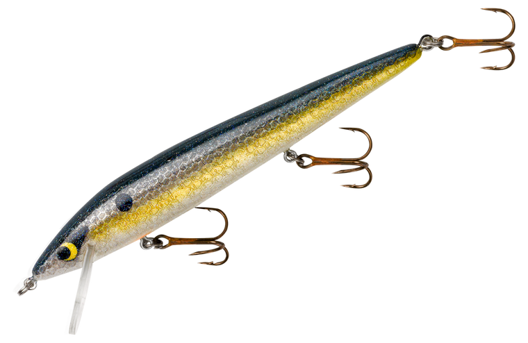Foxy Shad