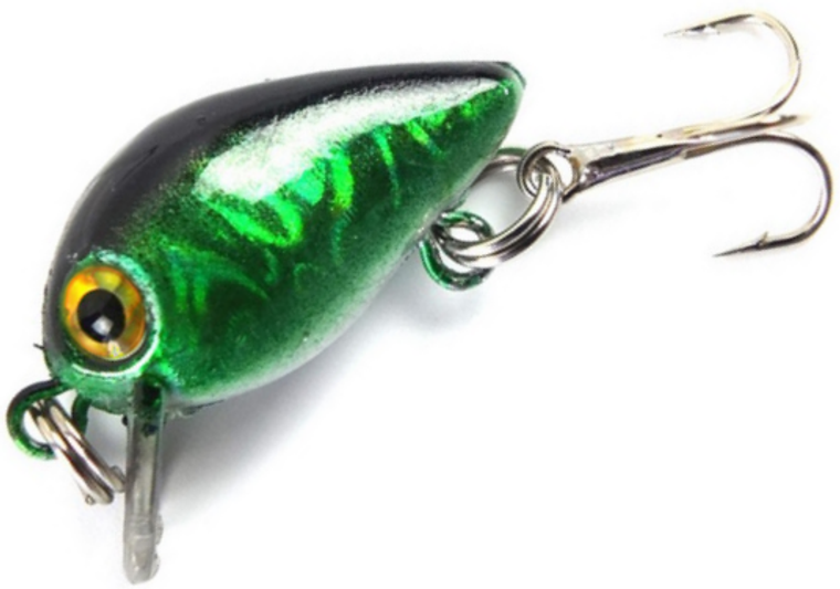 Green Shiner