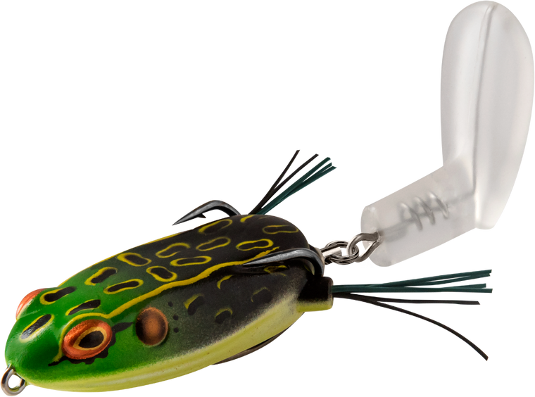Bullfrog
