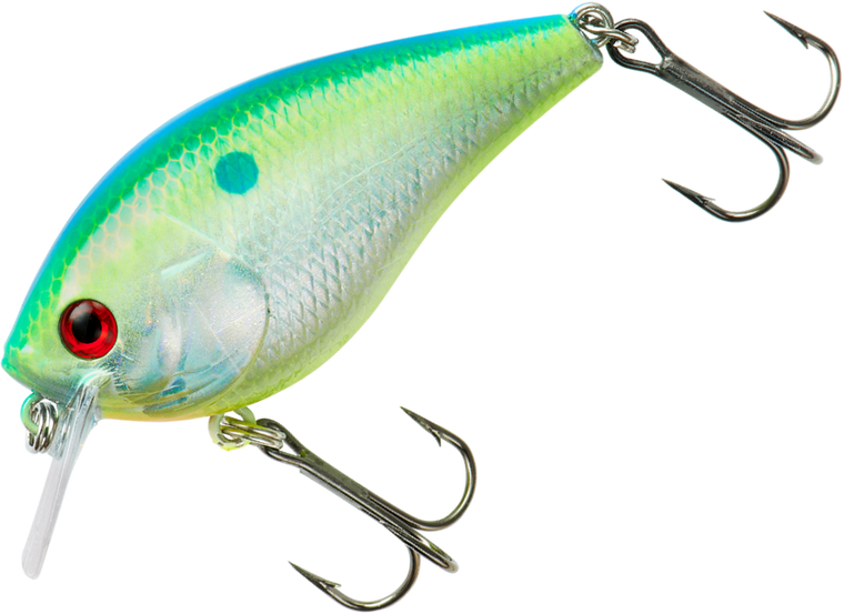 Citrus Shad