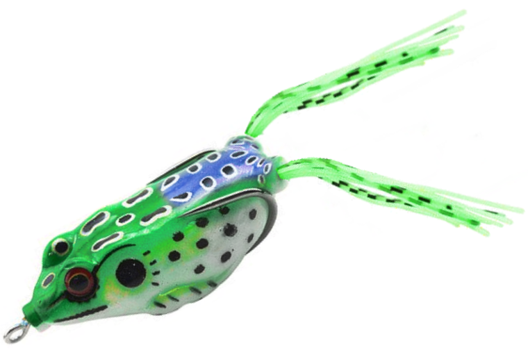 Leopard Frog Blue