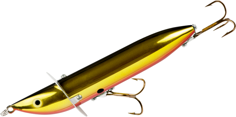 Gold Black Red Belly