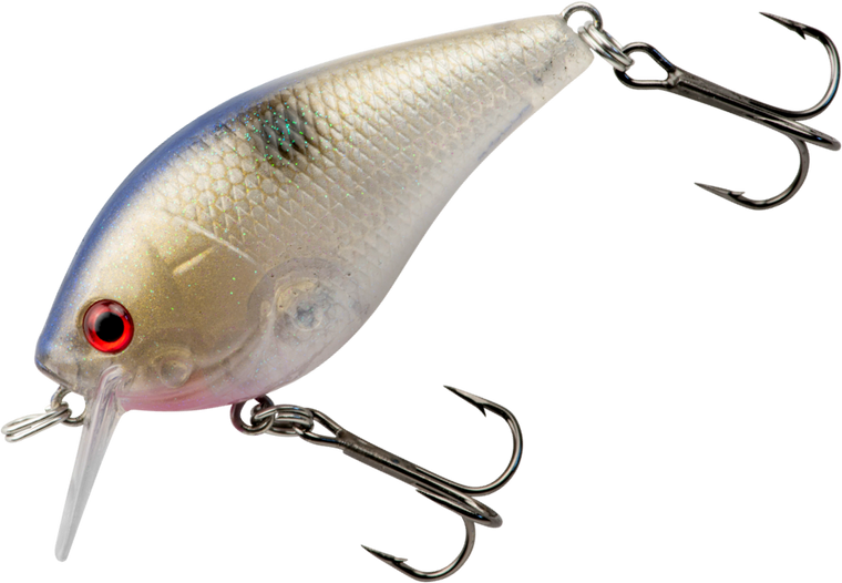 Lucent Shad