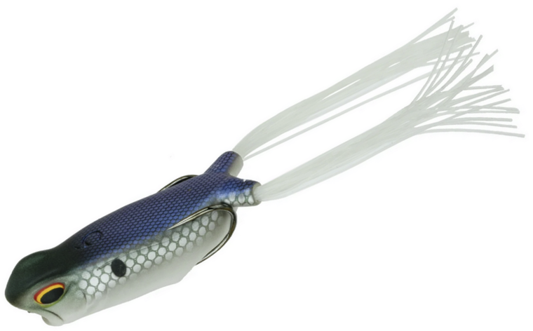 Shad Spawn
