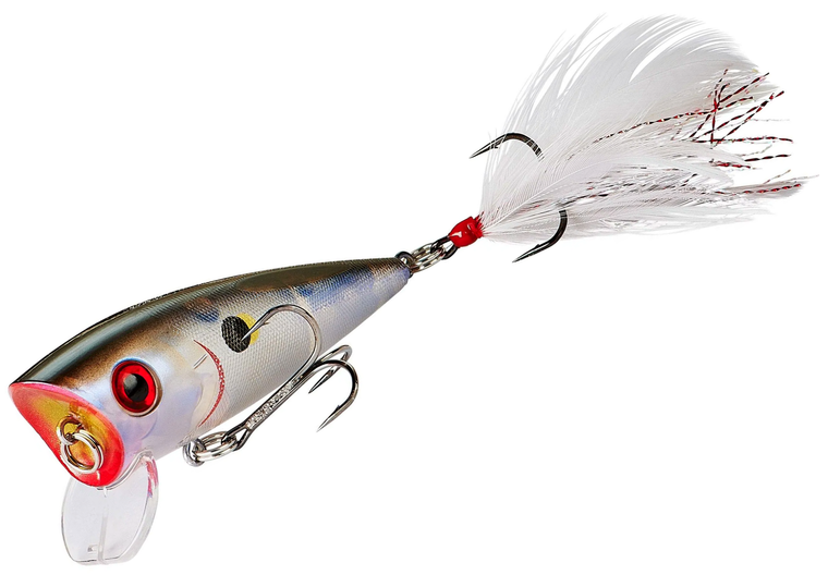 Moonphase Shad