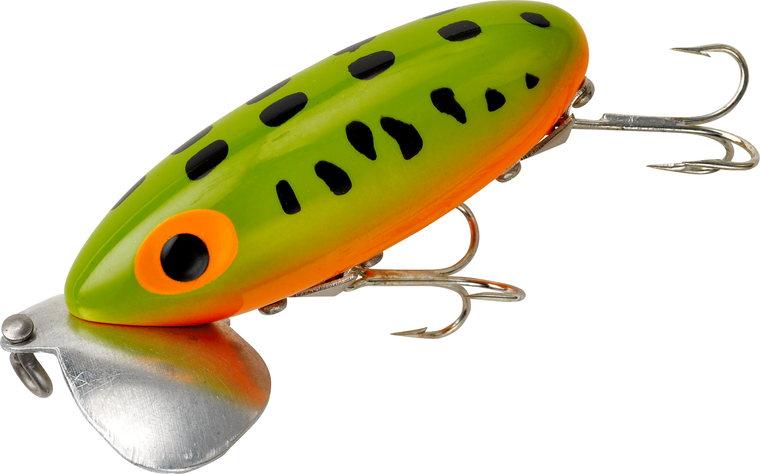 Frog Yellow Belly