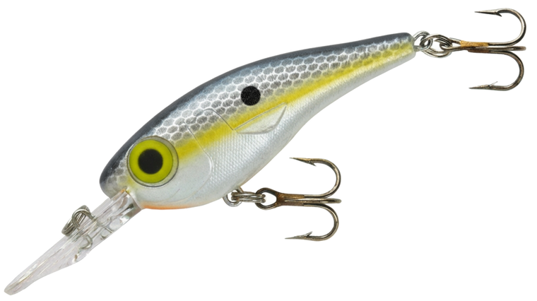 Foxy Shad