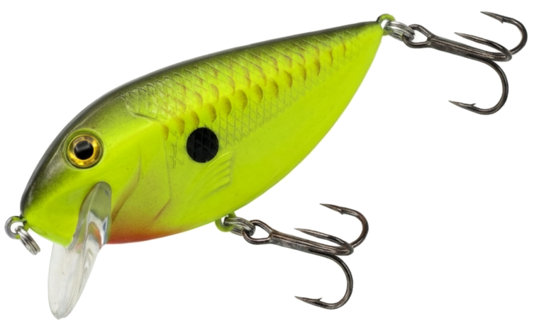 Chartreuse Black Back