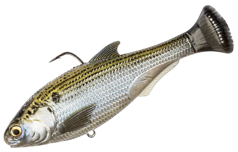 Mossback