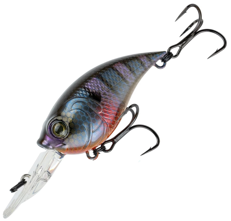 Bluegill Spawn