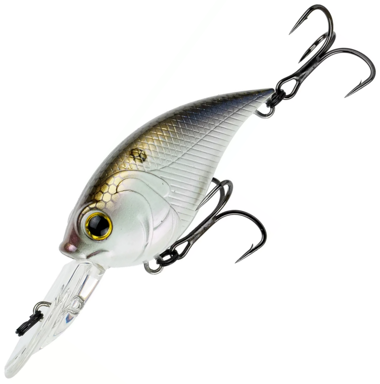 4K Shad