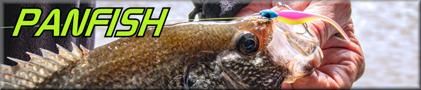 Booyah ToadRunner: Shad Frog - Vimage Outdoors