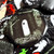 Ghost Lost In The Woods Badge