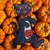 Halloween Cat, Witch and Pumpkin Diecut Set