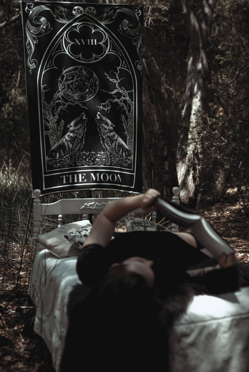 The Moon Tarot Card Large Wall Tapestry