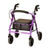 ZOOM 20 ROLLING WALKER