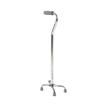 Beautiful Quad Cane With Small Base Picture Photography Beautiful Quad Cane With Small Base Picture Photography
