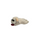 plush lamb dog toy