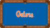 Florida Gators 9 foot Custom Pool Table Felt