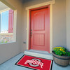 Ohio State Buckeyes 3 x 4 ft Area Rug