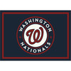 Washington Nationals 4 x 6 ft Spirit Rug