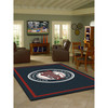 Minnesota Twins 8 x 11 ft Spirit Rug