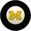 Michigan Wolverines 8 Ball