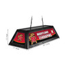 Maryland Terrapins 42” Spirit Billiard Lamp – Black Frame