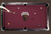 Montana Grizzlies 9' Recreational Billiard Table Felt